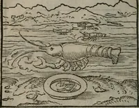 Picture 28 of 111 from Clarissimi Viri D. Andreae Alciati Emblematum libellus : vigilanter recognitus, & ab ipso iam authore locupletatus (1542), leaf 31