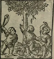 An illustration from Clarissimi Viri D. Andreae Alciati Emblematum libellus : vigilanter recognitus, & ab ipso iam authore locupletatus (1542)