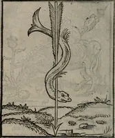 An illustration from Clarissimi Viri D. Andreae Alciati Emblematum libellus : vigilanter recognitus, & ab ipso iam authore locupletatus (1542)