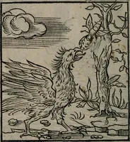 Picture 55 of 111 from Clarissimi Viri D. Andreae Alciati Emblematum libellus : vigilanter recognitus, & ab ipso iam authore locupletatus (1542), leaf 59