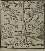 Picture 57 of 111 from Clarissimi Viri D. Andreae Alciati Emblematum libellus : vigilanter recognitus, & ab ipso iam authore locupletatus (1542), leaf 61