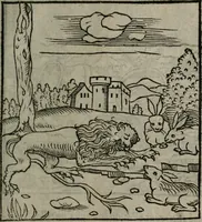 Picture 58 of 111 from Clarissimi Viri D. Andreae Alciati Emblematum libellus : vigilanter recognitus, & ab ipso iam authore locupletatus (1542), leaf 62