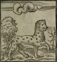 Picture 63 of 111 from Clarissimi Viri D. Andreae Alciati Emblematum libellus : vigilanter recognitus, & ab ipso iam authore locupletatus (1542), leaf 68