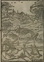 Picture 66 of 111 from Clarissimi Viri D. Andreae Alciati Emblematum libellus : vigilanter recognitus, & ab ipso iam authore locupletatus (1542), leaf 71