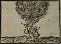 An illustration from Clarissimi Viri D. Andreae Alciati Emblematum libellus : vigilanter recognitus, & ab ipso iam authore locupletatus (1542)