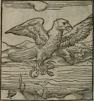 An illustration from Clarissimi Viri D. Andreae Alciati Emblematum libellus : vigilanter recognitus, & ab ipso iam authore locupletatus (1542)