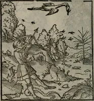 An illustration from Clarissimi Viri D. Andreae Alciati Emblematum libellus : vigilanter recognitus, & ab ipso iam authore locupletatus (1542)