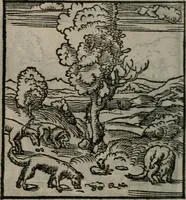 Picture 81 of 111 from Clarissimi Viri D. Andreae Alciati Emblematum libellus : vigilanter recognitus, & ab ipso iam authore locupletatus (1542), leaf 91