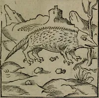 An illustration from Clarissimi Viri D. Andreae Alciati Emblematum libellus : vigilanter recognitus, & ab ipso iam authore locupletatus (1542)