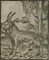 Picture 87 of 111 from Clarissimi Viri D. Andreae Alciati Emblematum libellus : vigilanter recognitus, & ab ipso iam authore locupletatus (1542), leaf 97
