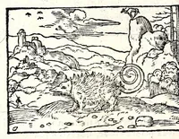 An illustration from Clarissimi viri D. And. Alciati Emblemat. lib. II, aucti & restituti (1580)
