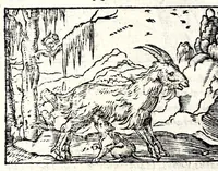 An illustration from Clarissimi viri D. And. Alciati Emblemat. lib. II, aucti & restituti (1580)