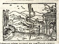An illustration from Clarissimi viri D. And. Alciati Emblemat. lib. II, aucti & restituti (1580)