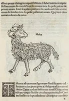 An illustration from Clarissimi viri Hyginii Poeticon astronomicon : opus vtilissimum foeliciter incipit : de mundi & sphere ac utriusq3 ptiũ declaratione : Liber prim⁹ Prohemiũ Hyginius. M. Fabio plurimã salutẽ