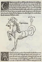 An illustration from Clarissimi viri Hyginii Poeticon astronomicon : opus vtilissimum foeliciter incipit : de mundi & sphere ac utriusq3 ptiũ declaratione : Liber prim⁹ Prohemiũ Hyginius. M. Fabio plurimã salutẽ