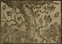 An illustration from Clariss. viri Dn. Andreae Alciati Emblematum libri duo : aucti & restituti, & perelegantibus figuris illustrati, cum succinctis commentariolis ... (1639)