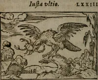 An illustration from Clariss. viri Dn. Andreae Alciati Emblematum libri duo : aucti & restituti, & perelegantibus figuris illustrati, cum succinctis commentariolis ... (1639)