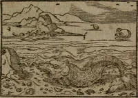 An illustration from Clariss. viri Dn. Andreae Alciati Emblematum libri duo : aucti & restituti, & perelegantibus figuris illustrati, cum succinctis commentariolis ... (1639)