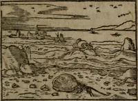 An illustration from Clariss. viri Dn. Andreae Alciati Emblematum libri duo : aucti & restituti, & perelegantibus figuris illustrati, cum succinctis commentariolis ... (1639)