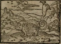 An illustration from Clariss. viri Dn. Andreae Alciati Emblematum libri duo : aucti & restituti, & perelegantibus figuris illustrati, cum succinctis commentariolis ... (1639)
