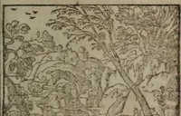 An illustration from Clariss. viri Dn. Andreae Alciati Emblematum libri duo : aucti & restituti, & perelegantibus figuris illustrati, cum succinctis commentariolis ... (1639)
