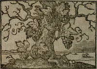 An illustration from Clariss. viri Dn. Andreae Alciati Emblematum libri duo : aucti & restituti, & perelegantibus figuris illustrati, cum succinctis commentariolis ... (1639)