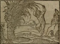 An illustration from Clariss. viri Dn. Andreae Alciati Emblematum libri duo : aucti & restituti, & perelegantibus figuris illustrati, cum succinctis commentariolis ... (1639)