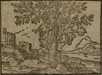 An illustration from Clariss. viri Dn. Andreae Alciati Emblematum libri duo : aucti & restituti, & perelegantibus figuris illustrati, cum succinctis commentariolis ... (1639)