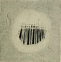 An illustration from Clark's O. N. T. book of needlework; (1916)
