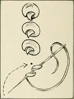 An illustration from Clark's O. N. T. book of needlework; (1916)