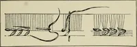 An illustration from Clark's O. N. T. book of needlework; (1916)