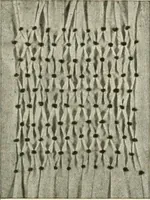 An illustration from Clark's O. N. T. book of needlework; (1916)