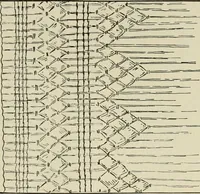 An illustration from Clark's O. N. T. book of needlework; (1916)