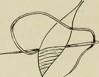 An illustration from Clark's O. N. T. book of needlework; (1916)