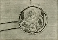 An illustration from Clark's O. N. T. book of needlework; (1916)