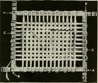 An illustration from Clark's O. N. T. book of needlework; (1916)