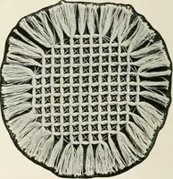 An illustration from Clark's O. N. T. book of needlework; (1916)