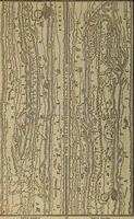 An illustration from Classical antiquities; (1843)