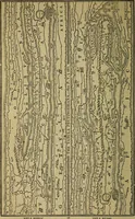 An illustration from Classical antiquities; (1866)