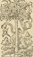 An illustration from Claudii Galeni ... Liber de plenitudine. Polybus De salubri victus ratione privatorum. Guinterio Ioanne Andernaco interprete. Apuleius Platonicus De herbarum virtutibus. Antonii Benivenii Libellus de abditis nonnullis ac mirandis morboru & sanitationum causis (1528)