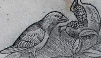 An illustration from Claudii Ptholemaei Alexandrini Liber geographiae cum tabulis et uniuersali figura : et cum additione locorum quae a recentioribus reperta sunt diligenti cura emendatus et impressus (1511)