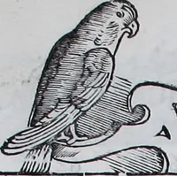 Picture 37 of 86 from Claudii Ptholemaei Alexandrini Liber geographiae cum tabulis et uniuersali figura : et cum additione locorum quae a recentioribus reperta sunt diligenti cura emendatus et impressus (1511), leaf 158