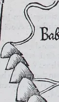Picture 292 of 446 from Claudii Ptolemaei Geographicae enarrationis libri octo (1525), leaf 346