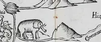 Picture 382 of 446 from Claudii Ptolemaei Geographicae enarrationis libri octo (1525), leaf 426