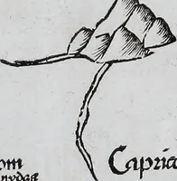 Picture 384 of 446 from Claudii Ptolemaei Geographicae enarrationis libri octo (1525), leaf 426