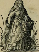 An illustration from Cleri totius Romanae ecclesiae subiecti, seu, Pontificiorvm ordinvm omnivm omnino vtrivsqve sexvs, habitvs, artificiosissimis figuris, quibus Francisci Modii singula octosticha adiecta sunt, nunc primùm à Ivdoco Ammanno expressi: neqve vnquam antehac similiter editi. Addito libello singvlari eivsdem Francisci Modij Brug. in quo cuiusque ordinis ecclesiastici origo, progressus & vestitus ratio breuiter ex variis historicis delineatur (1585)