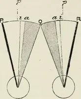 An illustration from The clinical use of prisms; and the decentering of lenses (1893)