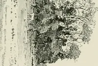 An illustration from Cloister life in the days of Coeur de Lion (1893)