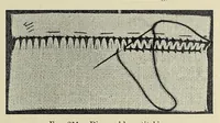 An illustration from Clothing for women : selection, design, construction : a practical manual for school and home (1916)