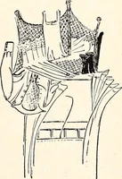 An illustration from Clothing and health (1916)